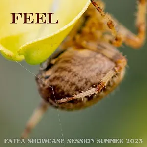 Fatea - Summer 23